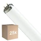 Lot 25x Philips T8 Flexo print 40W | 60cm - UVA